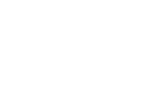 Paper Trail Logo Transparent White